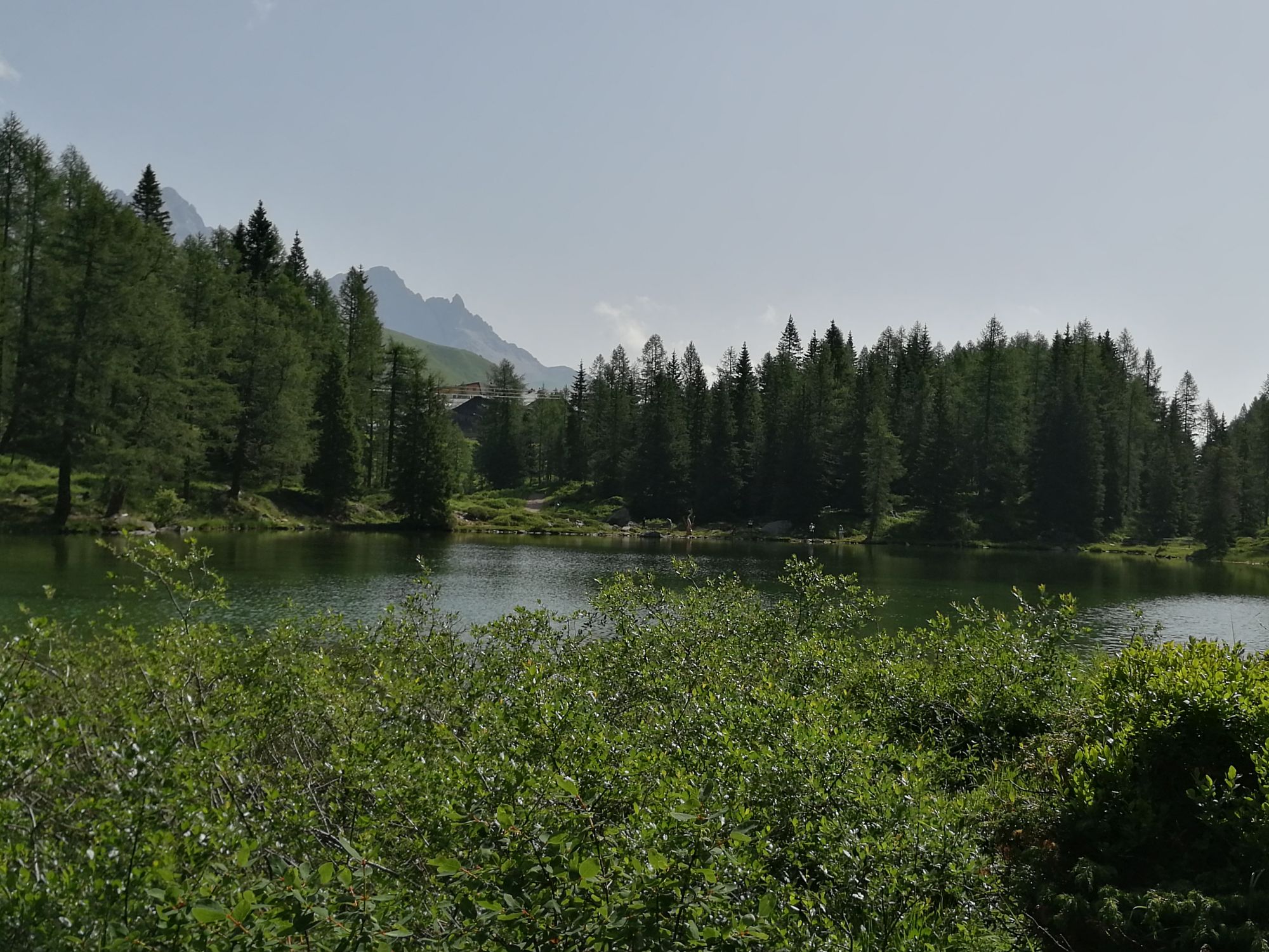 Passo di San Pellegrino